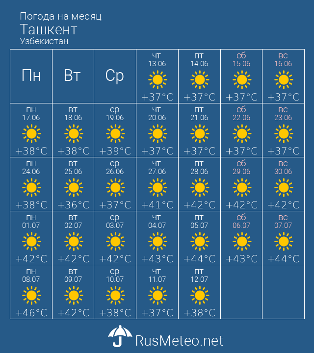 Погода в ташкенте узбекистан